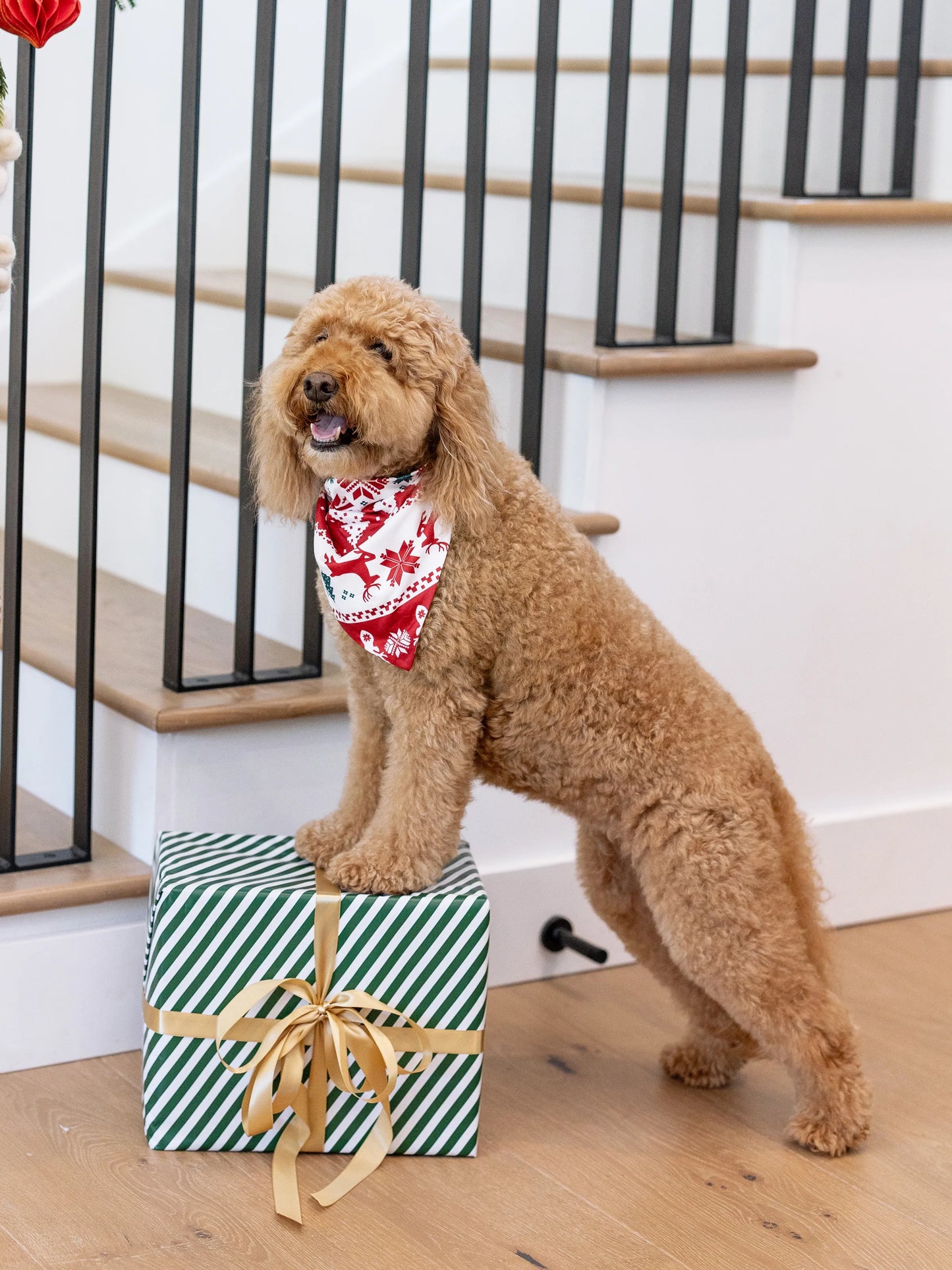 Christmas Matching Family Pajamas Set Reindeer and Snowman Print Red Long-sleeve PJS with Christmas Socks Red