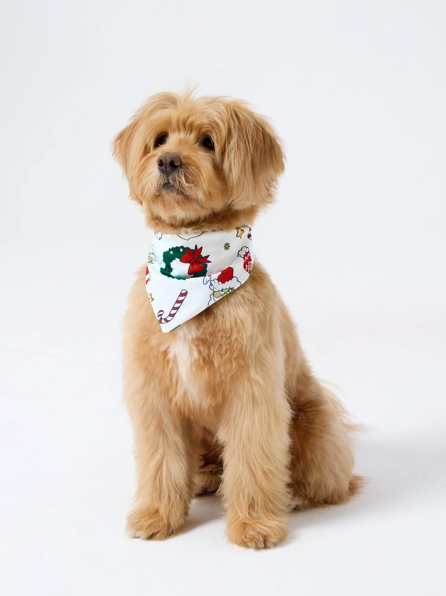 Christmas Matching Family Pajamas Set Christmas Grinch-themed Print PJS with Christmas Socks Red