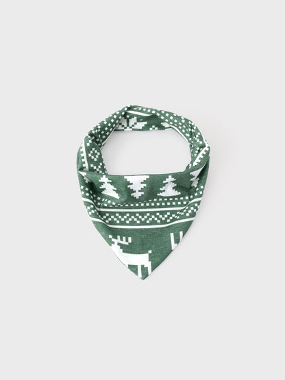 Conjunto de Pijamas de Natal para Família com Estampado de Renas e Flocos de Neve em Verde com Meias de Natal Verde Escuro