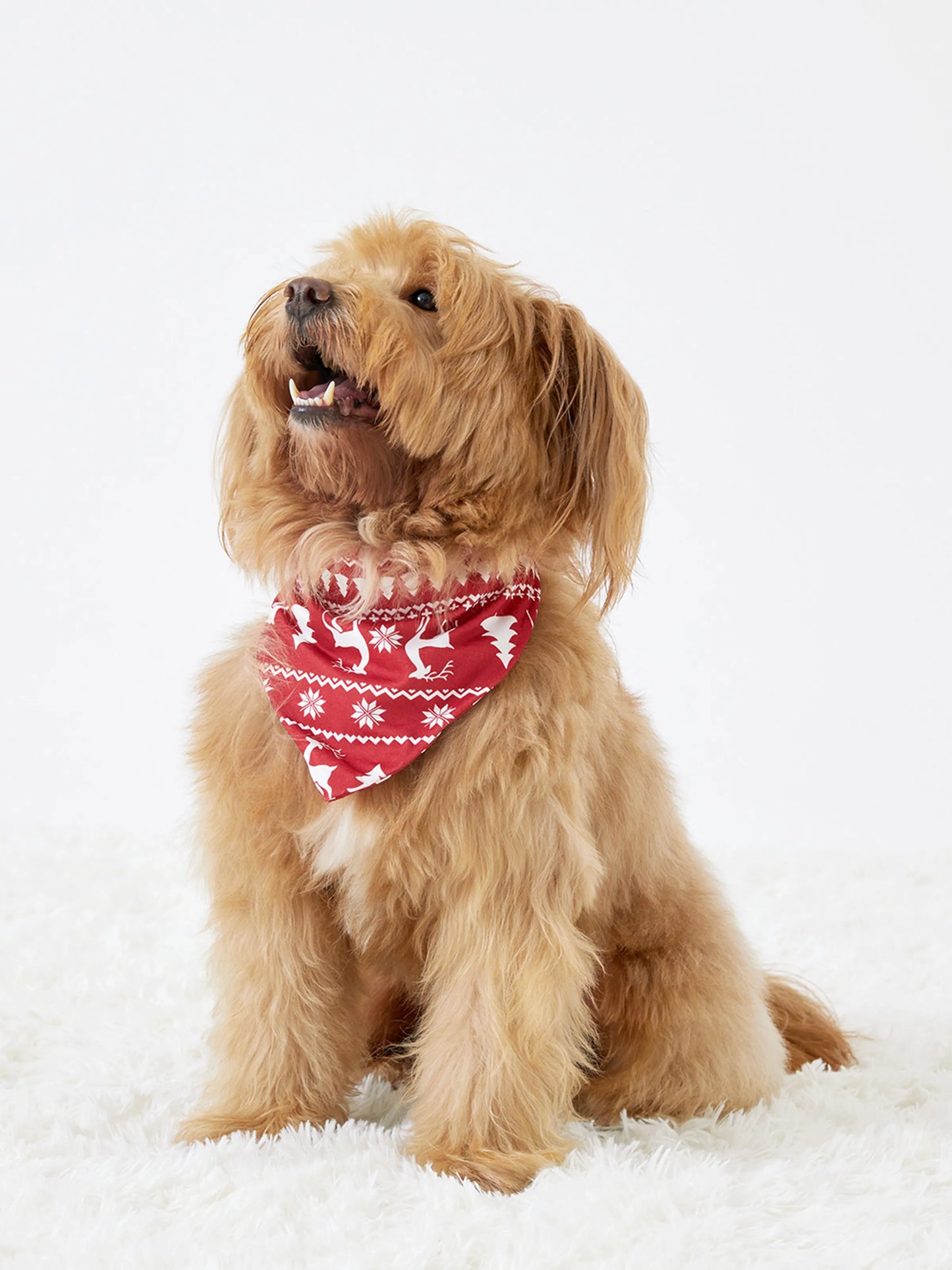 Christmas Reindeer and Snowflake Print Family Matching Pajamas Sets with Christmas Socks Red