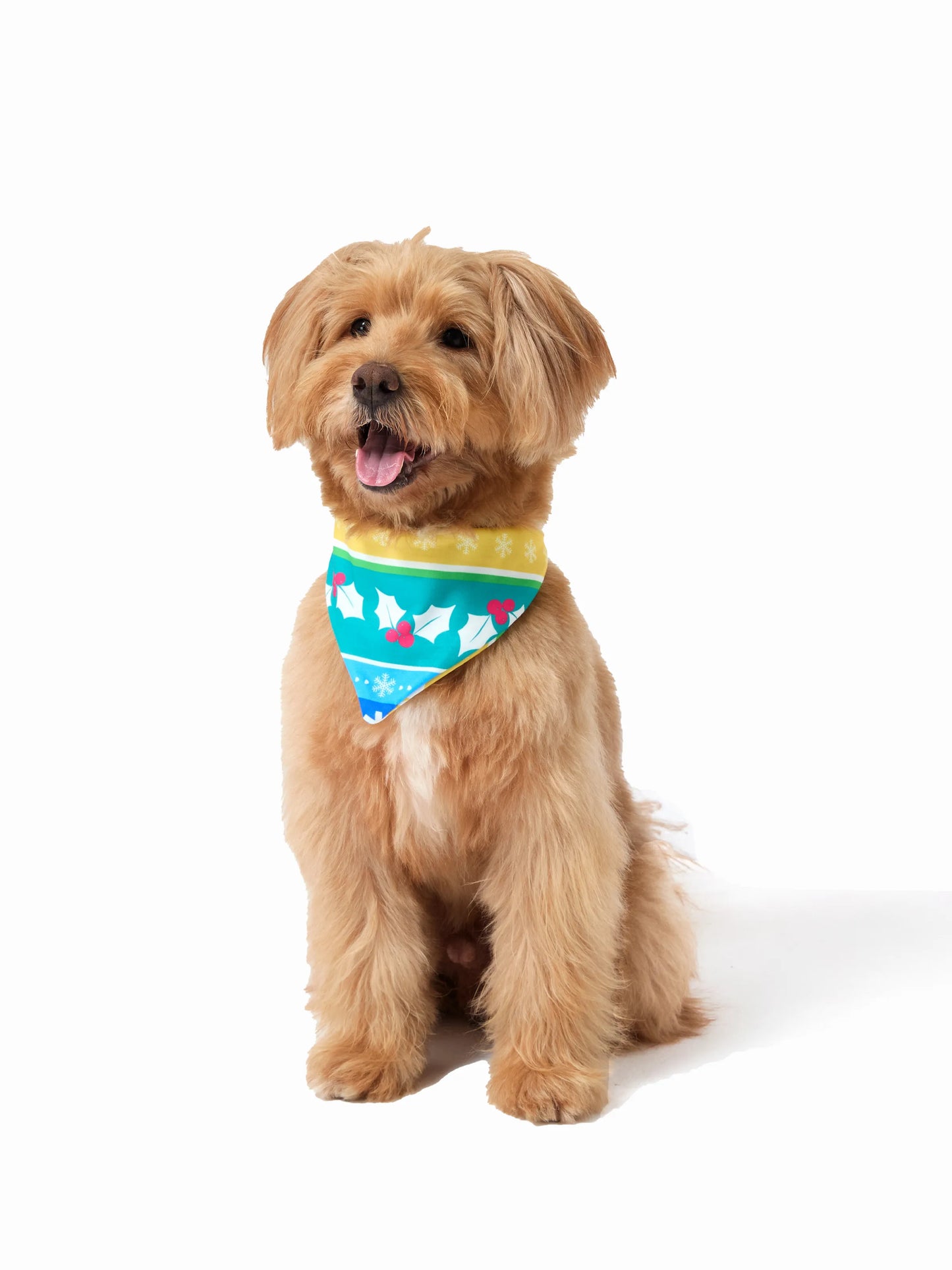 Christmas Matching Family Pajamas Set Christmas Gnome Striped PJS with Christmas Socks Multi-color