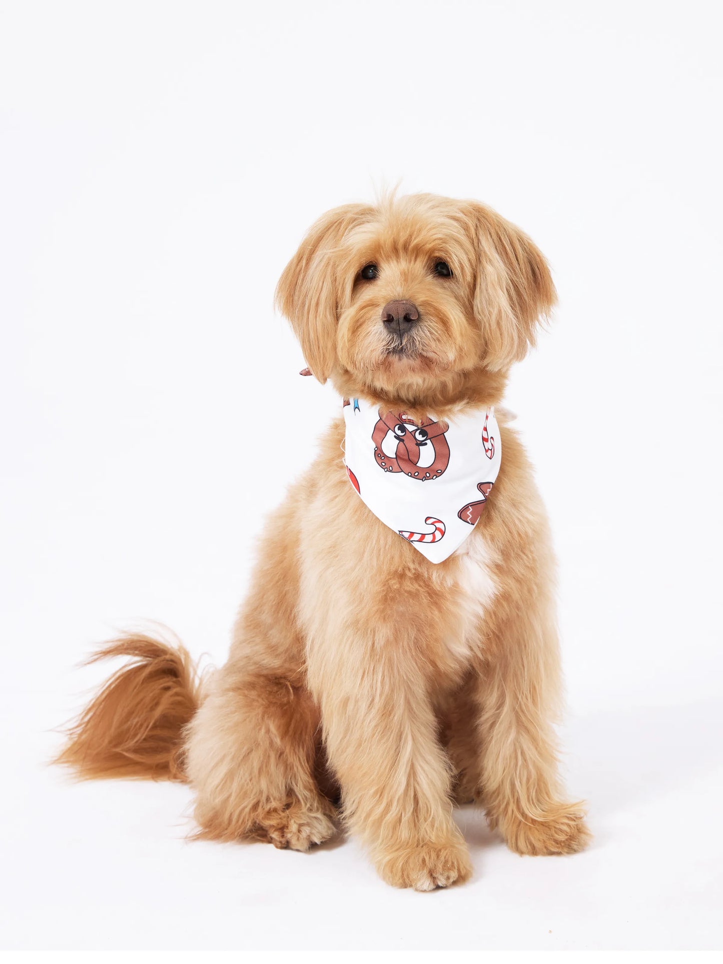 Christmas Matching Family Pajamas Set Glow in the Dark Gingerbread and Santa PJS with Christmas Socks Red