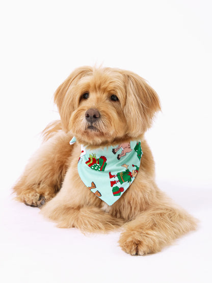 Christmas Matching Family Pajamas Set Reindeer Christmas-themed Print PJS with Christmas Socks Pale Green